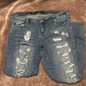 Torrid jeans